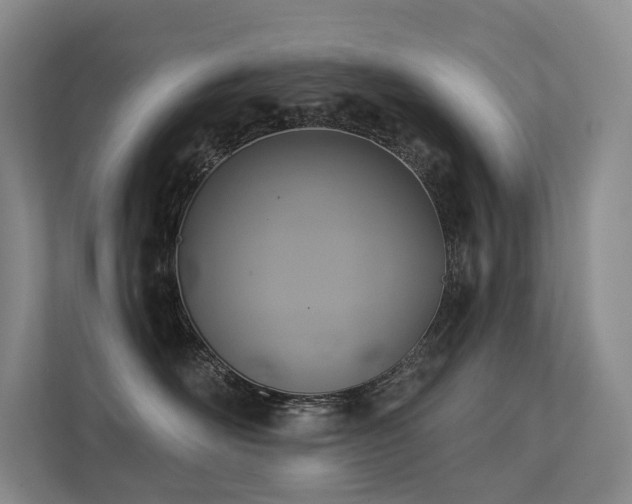 X0000113200526200909101114