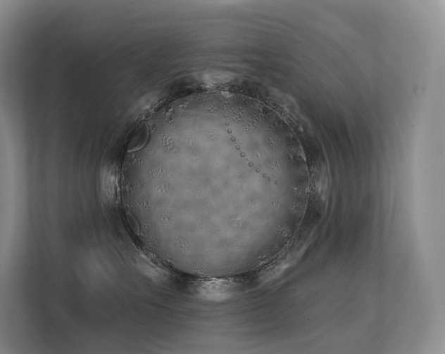 X0000113200527200909101114