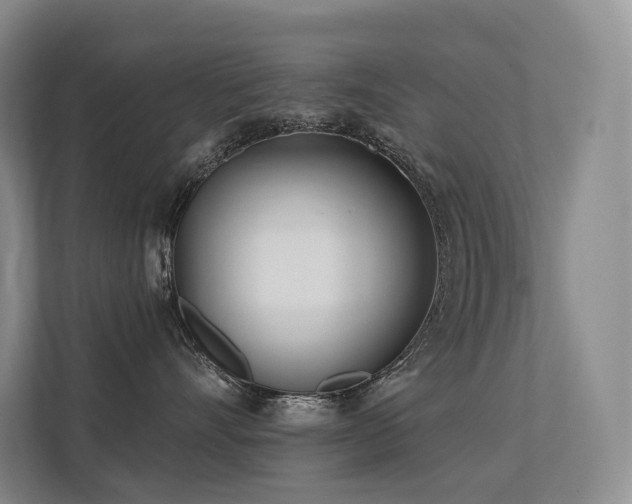 X0000113200528200909101114