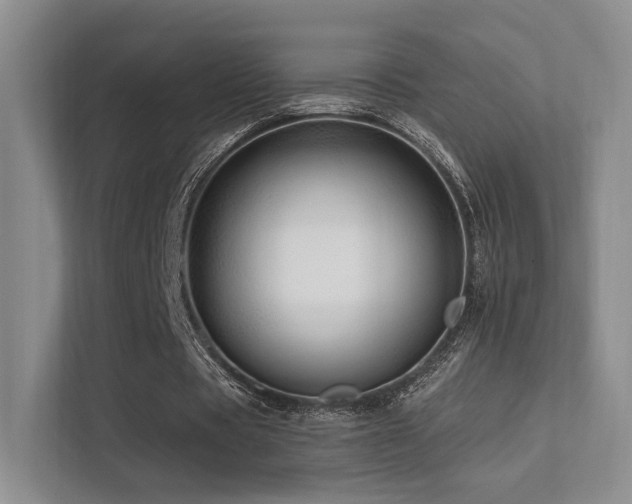 X0000113200529200909101114