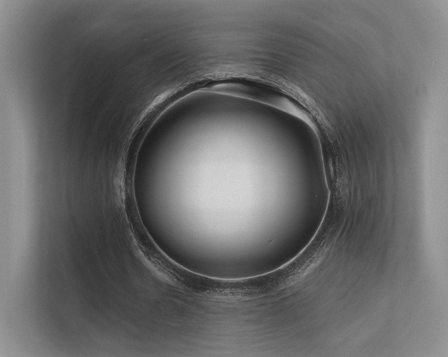 X0000113200530200909101114