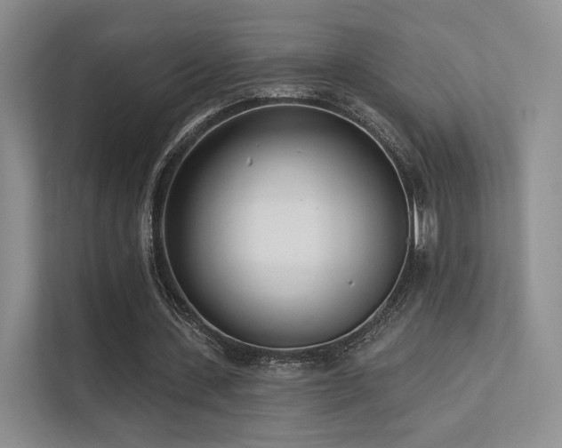 X0000113200531200909101114