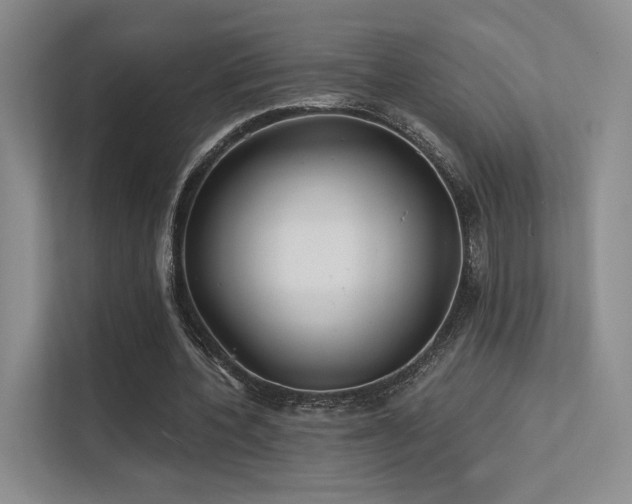 X0000113200532200909101114