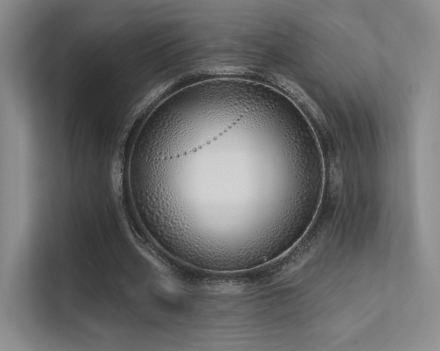 X0000113200533200909101114