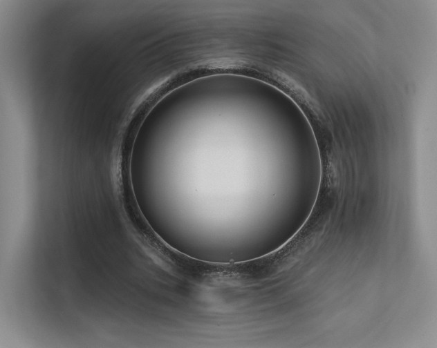 X0000113200535200909101114