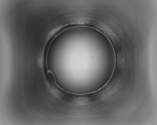 X0000113200536200909101114