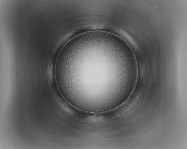 X0000113200537200909101114