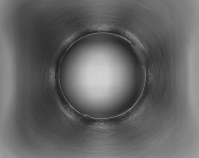 X0000113200538200909101114