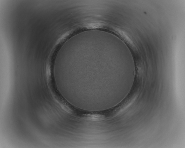 X0000113200539200909101114