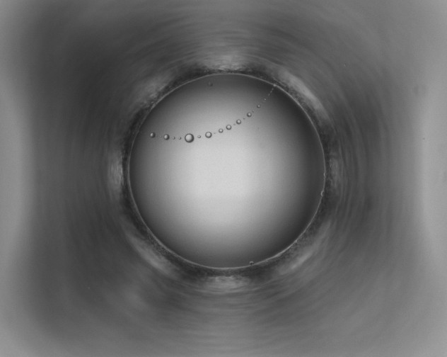 X0000113200541200909101114