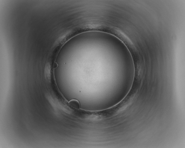 X0000113200542200909101114