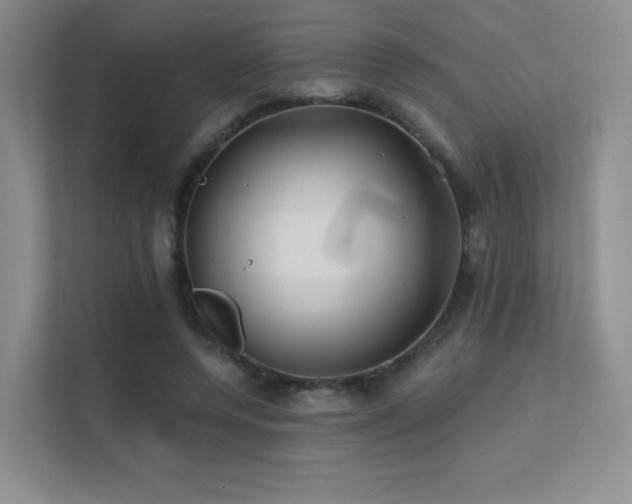 X0000113200544200909101114