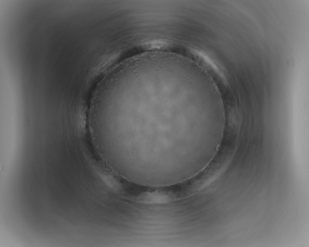 X0000113200545200909101114