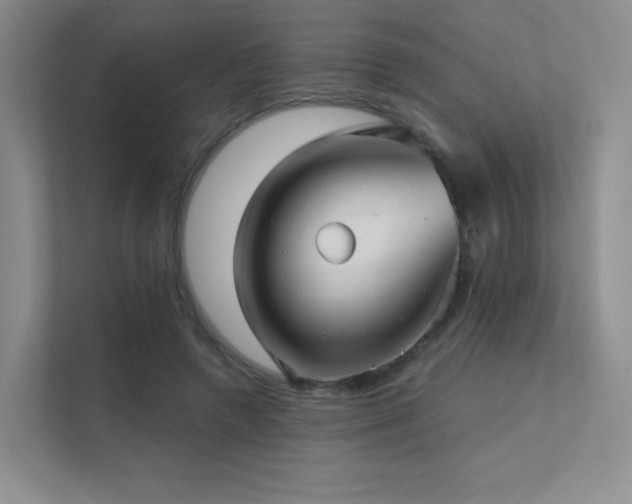 X0000113200546200909101114