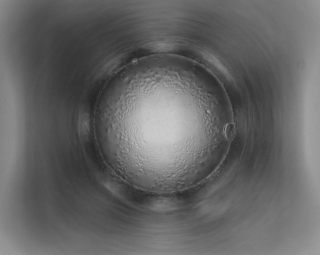 X0000113200549200909101114