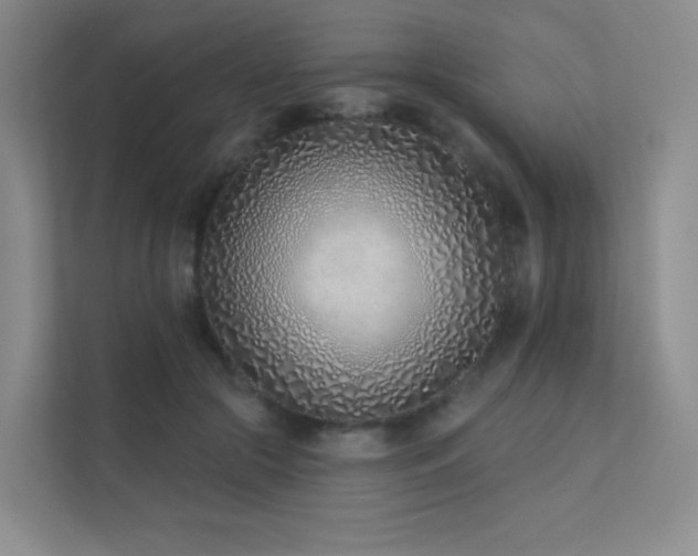 X0000113200553200909101114