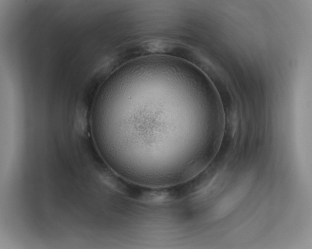 X0000113200554200909101114