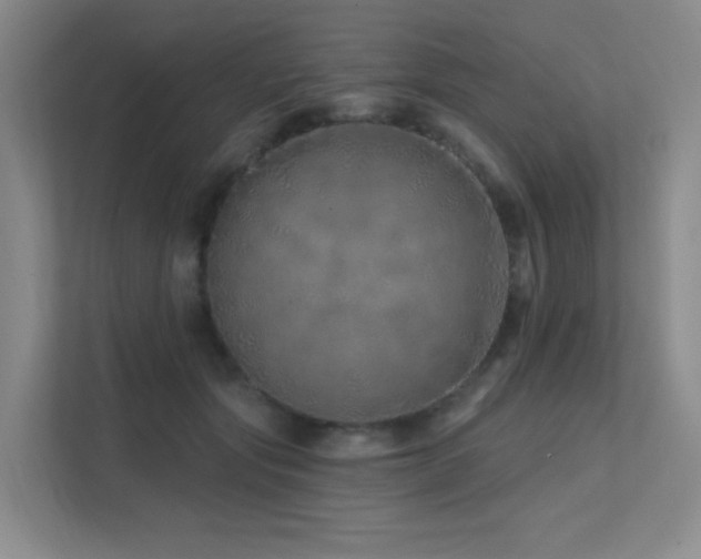 X0000113200557200909101114