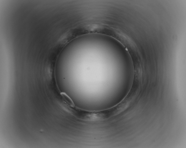 X0000113200558200909101114