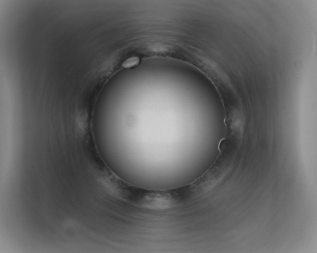 X0000113200559200909101114