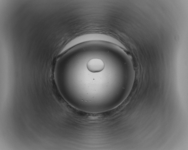 X0000113200560200909101114