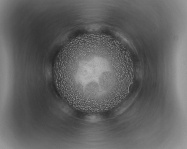 X0000113200561200909101114