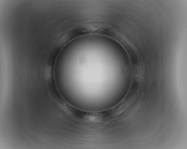 X0000113200563200909101114