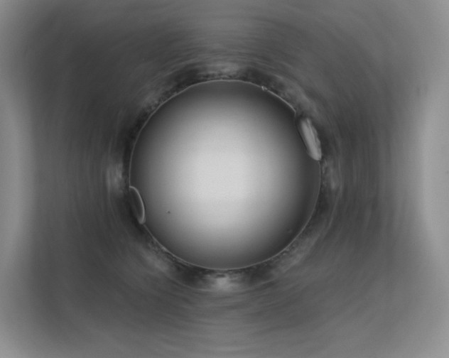 X0000113200564200909101114