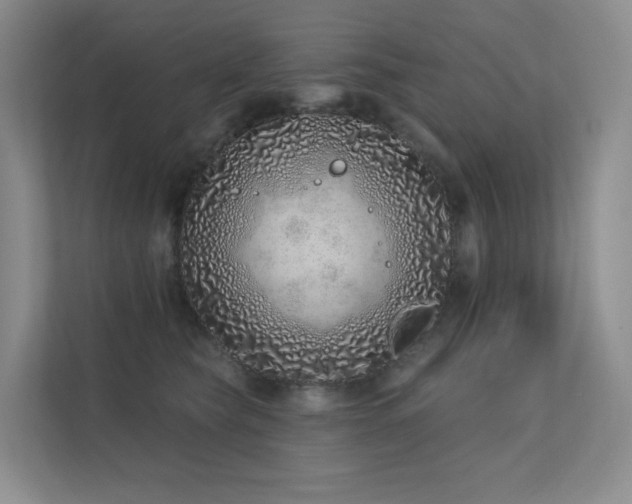 X0000113200565200909101114