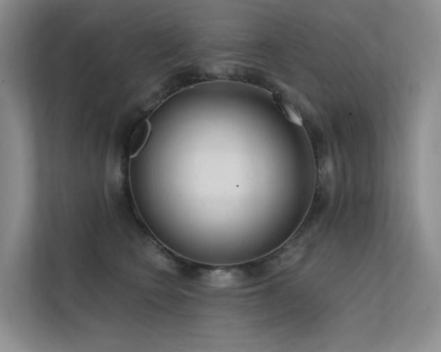 X0000113200566200909101114