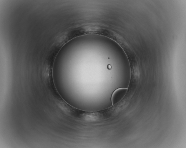 X0000113200567200909101114