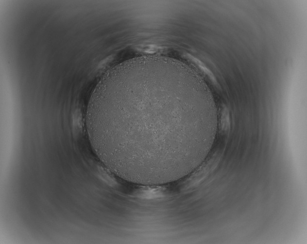 X0000113200569200909101114