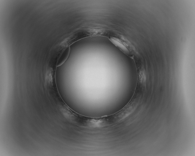 X0000113200570200909101114