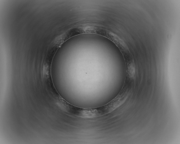 X0000113200571200909101114