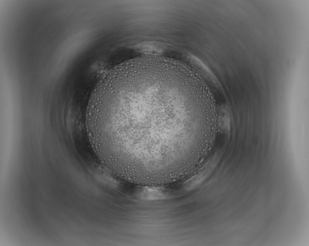 X0000113200573200909101114