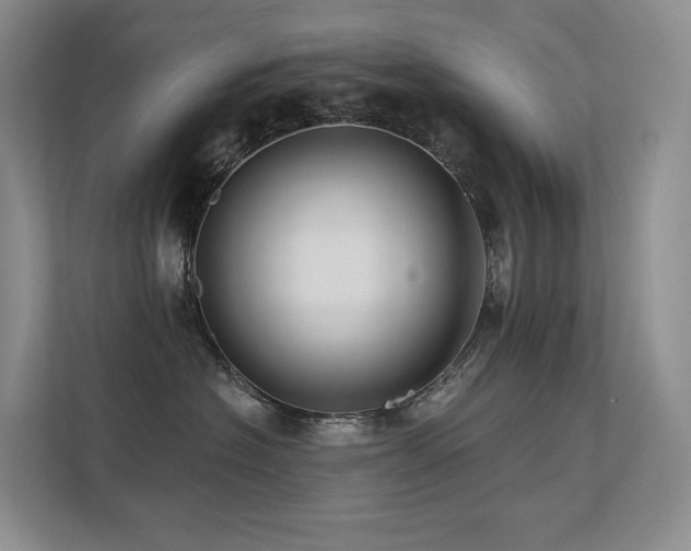 X0000113200574200909101114