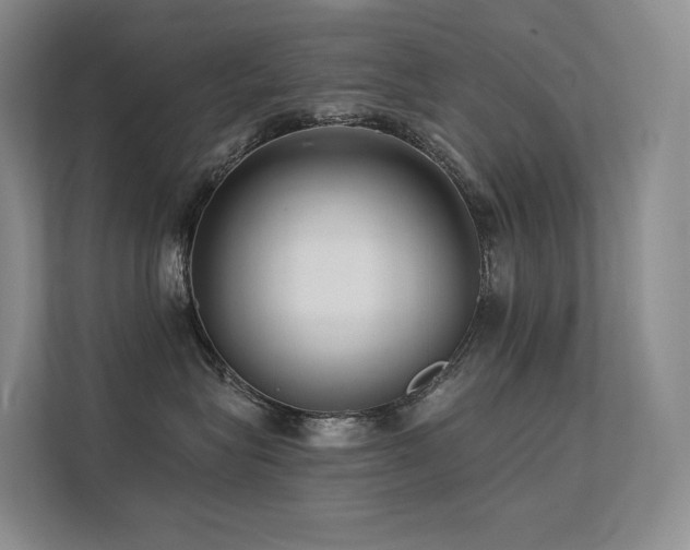 X0000113200575200909101114