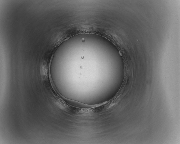 X0000113200576200909101114