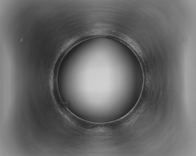 X0000113200578200909101114