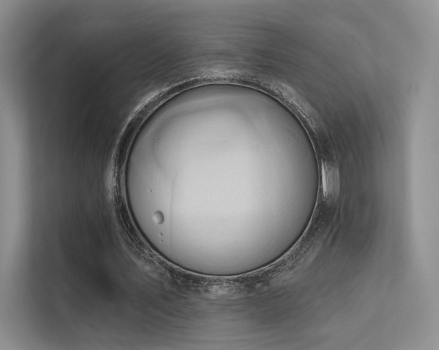 X0000113200579200909101114