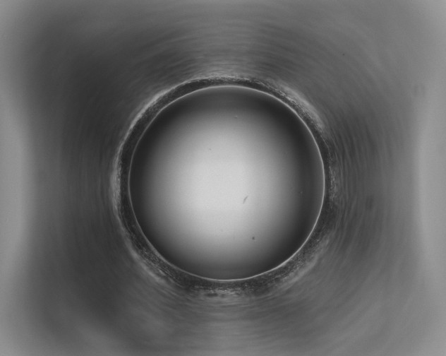 X0000113200580200909101114