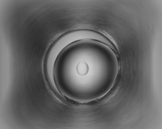 X0000113200581200909101114