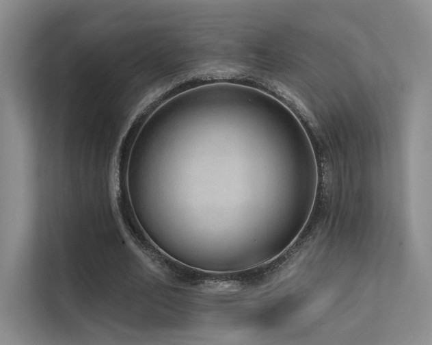 X0000113200582200909101113