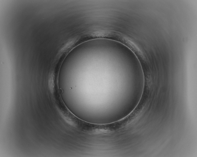 X0000113200586200909101113