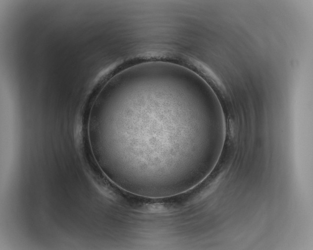 X0000113200588200909101113