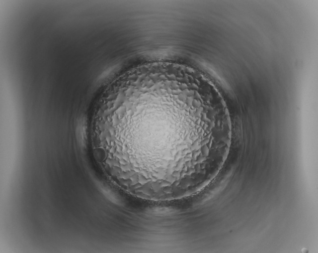 X0000113200590200909101113