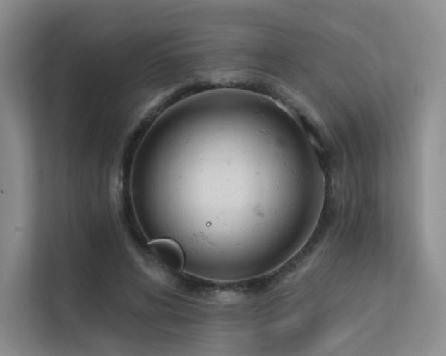 X0000113200592200909101113