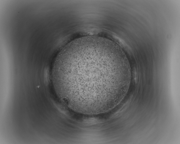 X0000113200594200909101113