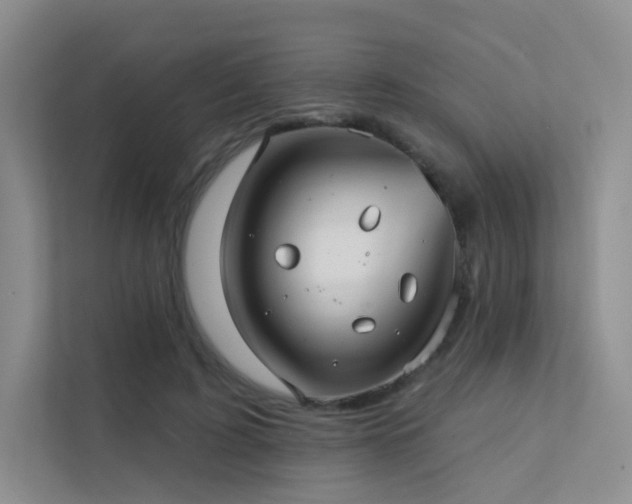 X0000113200595200909101113