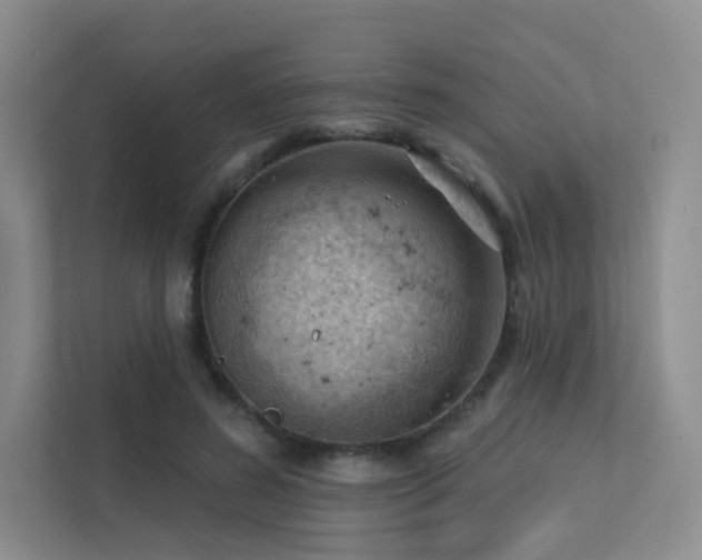 X0000113200596200909101113